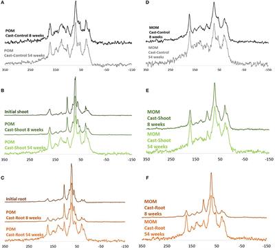 Earthworm Cast Formation and Development: A Shift From Plant Litter to Mineral Associated Organic Matter